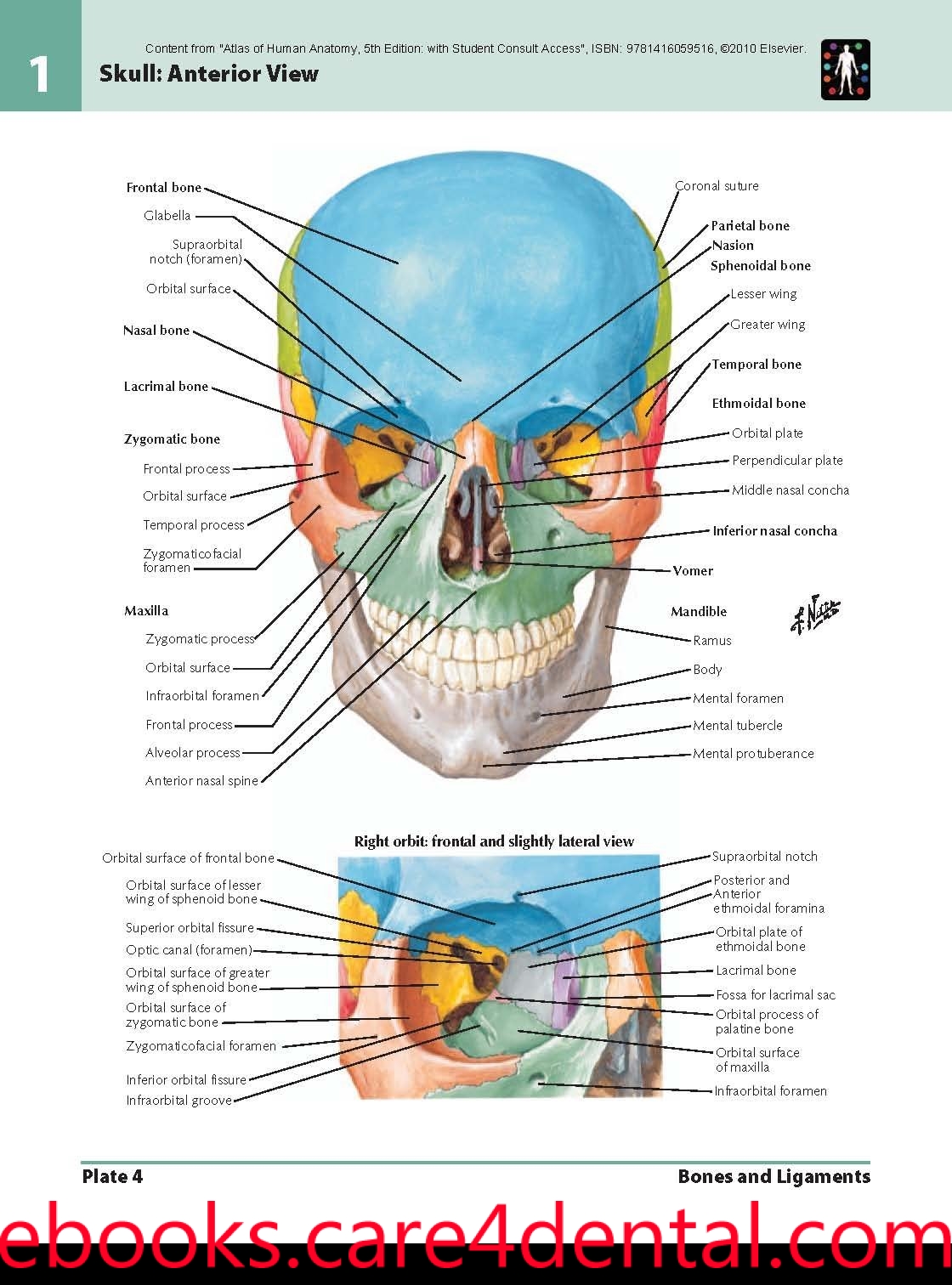 Netter Interactive Atlas Of Human Anatomy 30iso