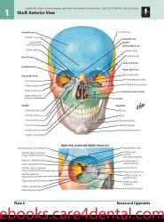 Netter Atlas of Human Anatomy (pdf)
